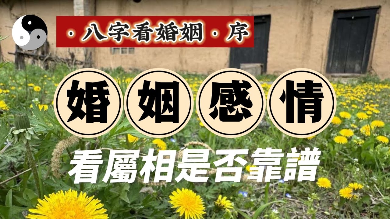 八字配对查询，探寻爱情与婚姻的奥秘插图