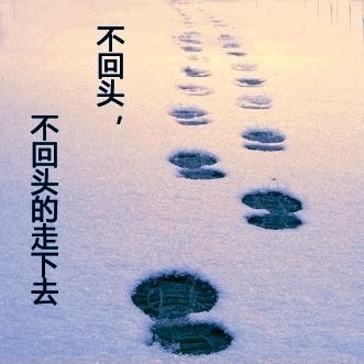 八字无印,在传统智慧的枷锁中寻得心灵的净土插图 八字无印,在传统智慧的枷锁中寻得心灵的净土插图