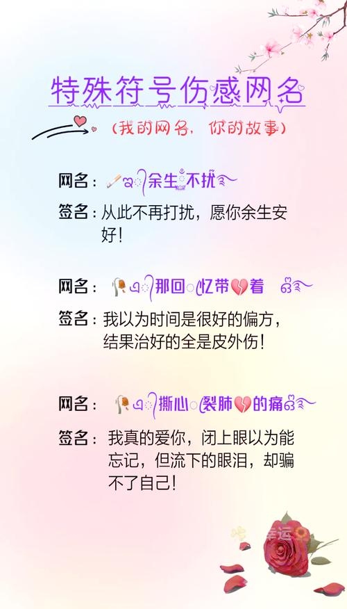 超长网名背后的伤感故事插图