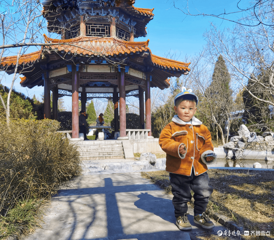 草长莺飞，生肖兔的春天活力插图