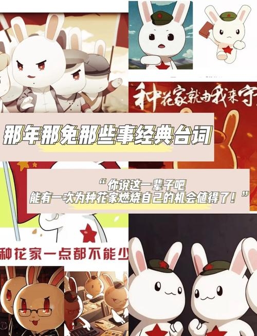 朝朝暮暮话生肖，探寻那抹温柔的兔光插图