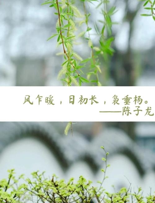 春风的轻吟——和煦插图