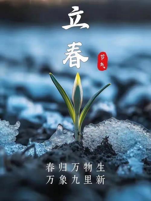 春回大地，立春节气里的生机与希望插图