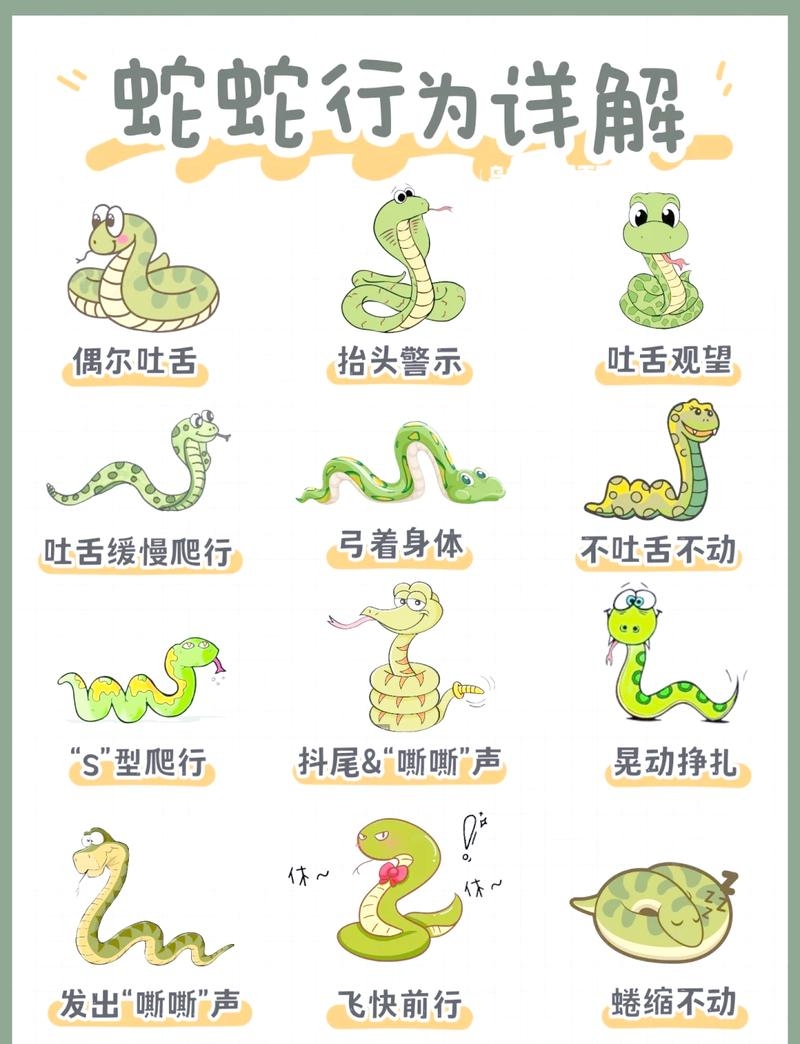 草行露宿指的是生肖蛇插图