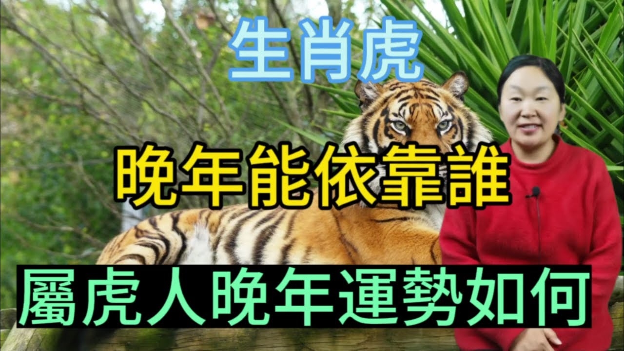 成家立业，生肖虎开创事业插图