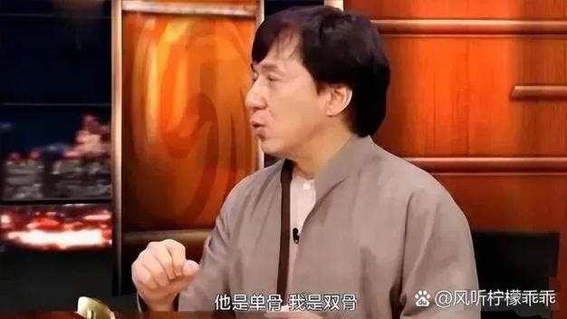 成龙之子取名‘房’，家族记忆与身份独立的微妙平衡插图