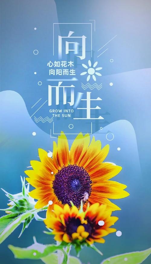 春日里的星辰，爱如阳光，温暖心田插图