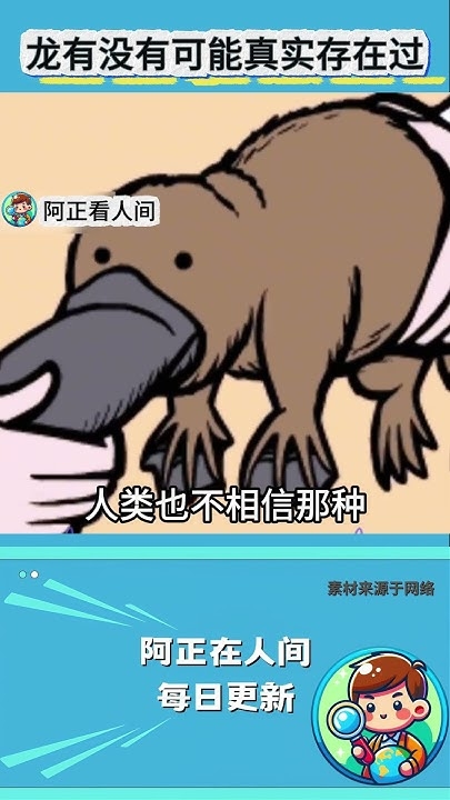 出水芙蓉，生肖之谜，直指龙尊插图