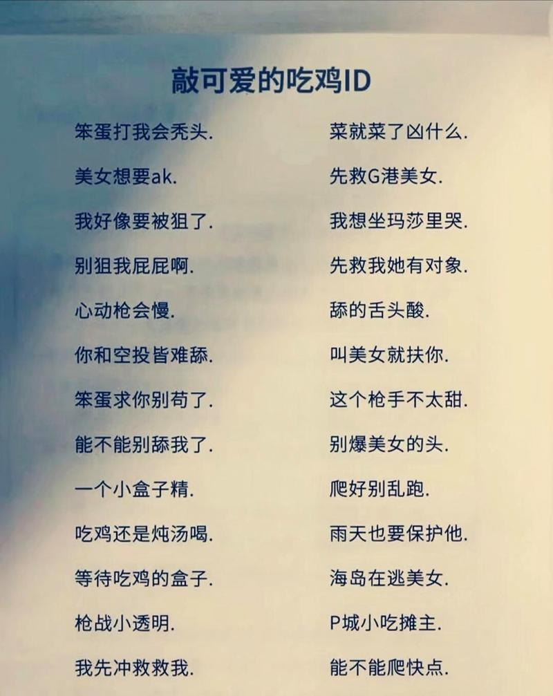 吃鸡创意昵称，从幽默到诗意，打造你的独特战场身份！插图