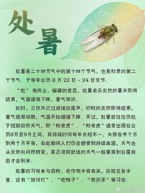 处暑的含义与意义插图