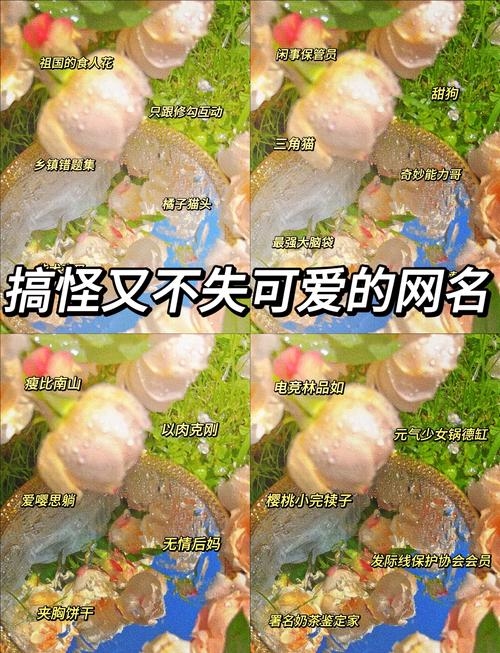 超嗨网名推荐、幽默昵称赏析插图