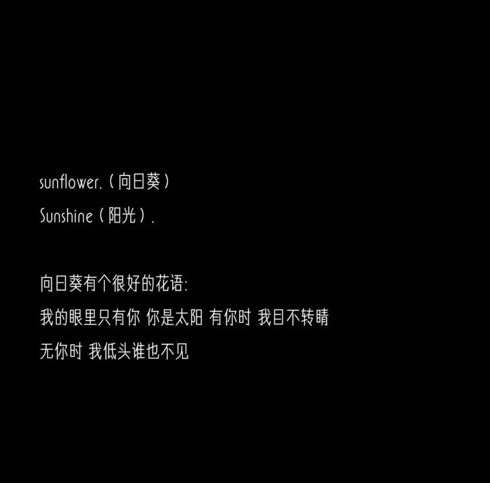 超萌哲理网名，既厉害又可爱！插图