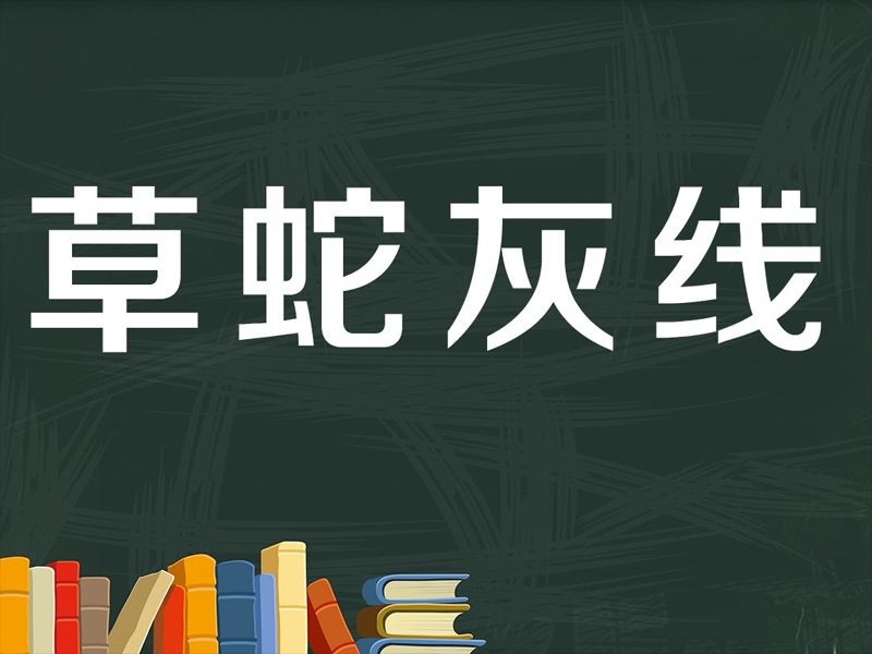 草蛇灰线，生肖之谜，解密传统文化插图