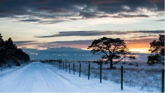 初雪寓意，爱情、宽恕与幸福生活的预兆插图