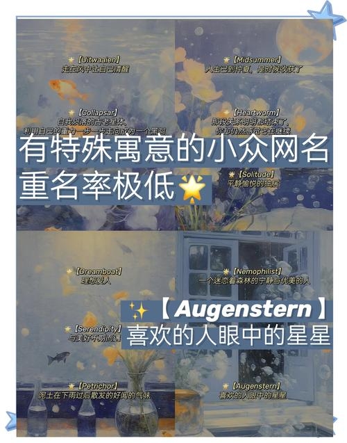 创意无限，如何设计独特且富有意义的网名插图