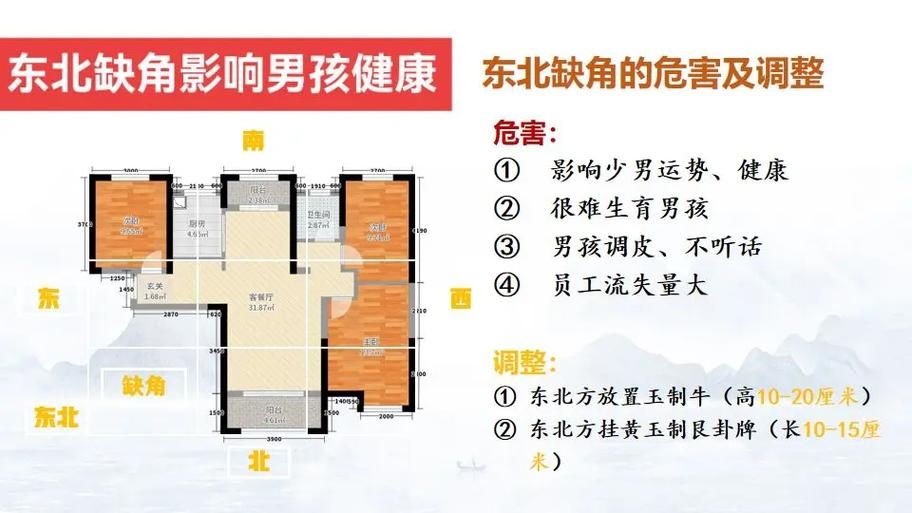 东北角缺,生存危机刻不容缓插图 东北角缺,生存危机刻不容缓插图