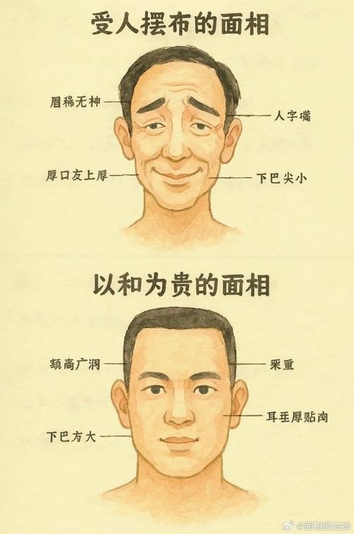 倒八字眉，一种独特的面相特征与文化解读插图