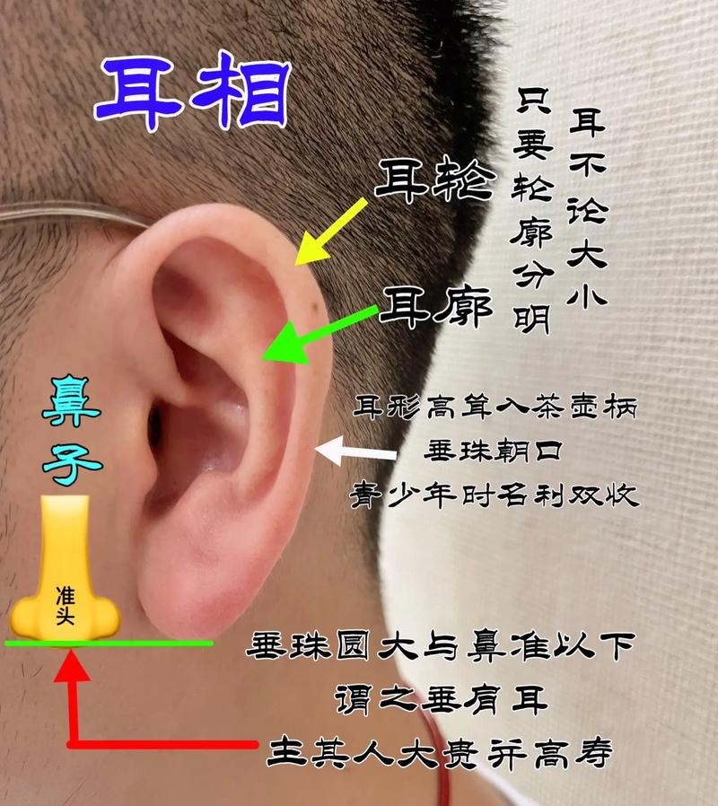 大耳朵有福，探寻耳朵与福气的神秘联系插图
