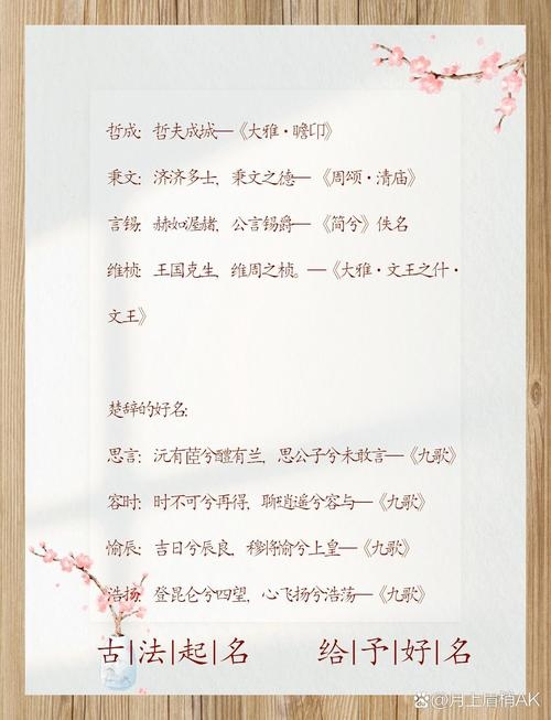 典故取名，文化传承与现代创意的完美融合插图