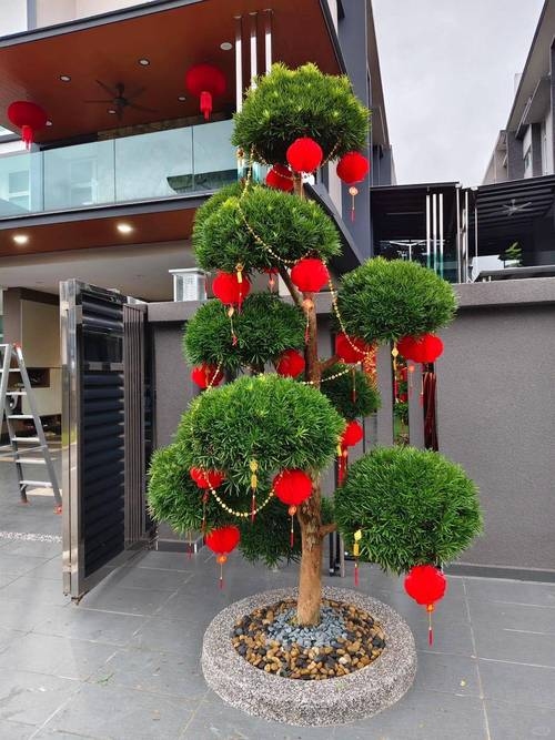 大门悬挂物最旺、树木美化环境插图 大门悬挂物最旺、树木美化环境插图