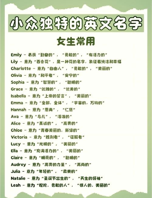 独特个性，女生英文网名精选与解析插图