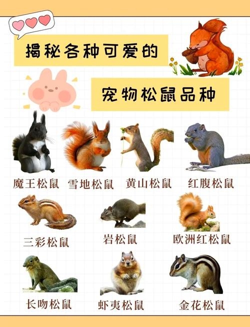 动物名称大全，探索自然界的生命多样性插图