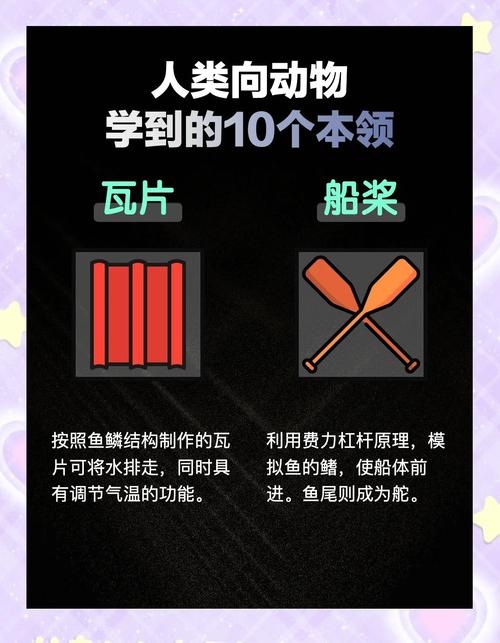 动物占卜，古老智慧与现代生活的微妙交融插图