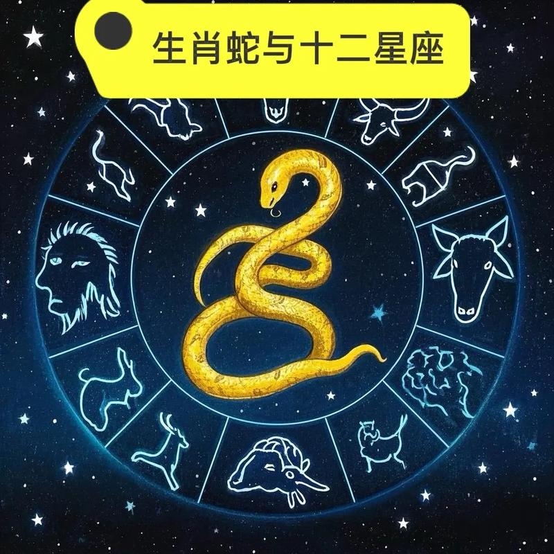 大蛇丸的星座与能力对比插图