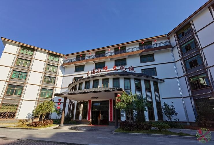 大埔征婚，寻找传统与现代的交汇点插图