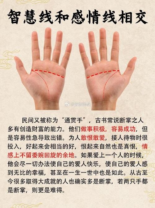 断掌纹，男性命运之谜与智慧象征插图