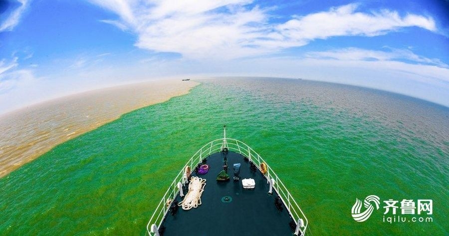 东营交友，在黄河入海口编织温暖的人际网插图