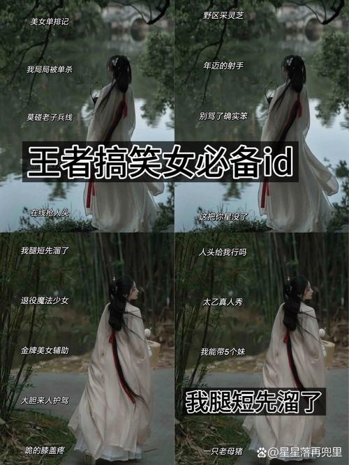 独一无二的沙雕王者名，永恒的视觉魅力插图