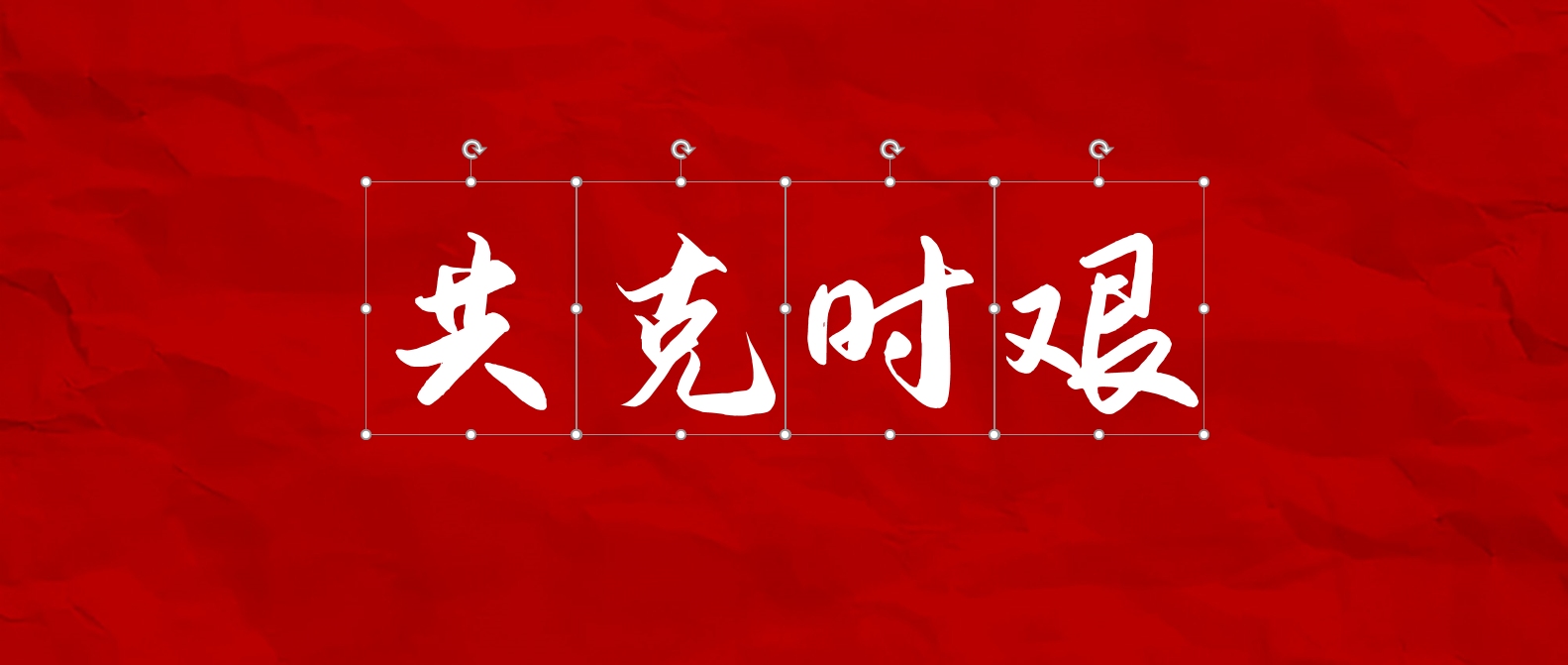 打造独一无二的联盟，命名艺术与战略考量插图