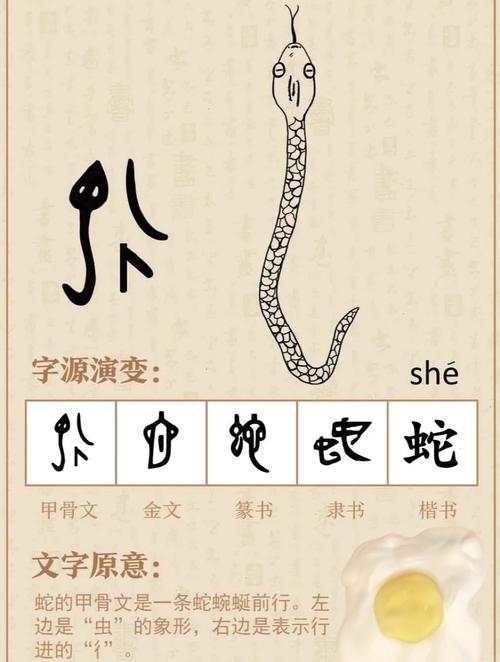 断章取义指的是生肖蛇插图