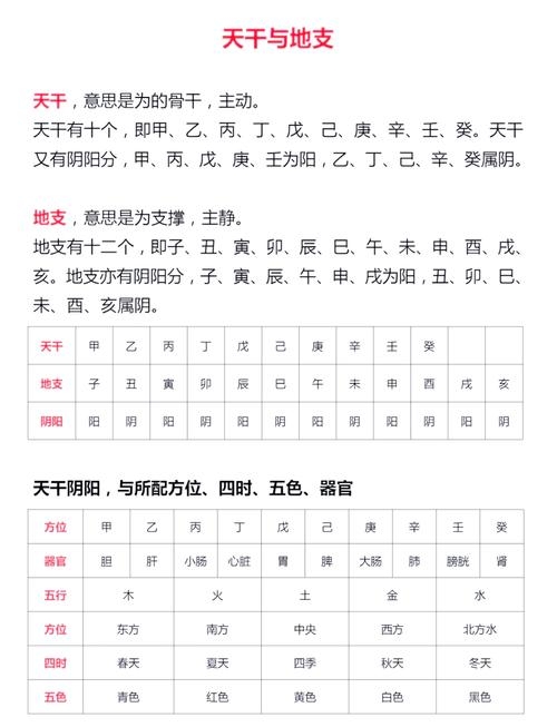 地支三会与天干五行，解析命理基础，探索运势奥秘插图