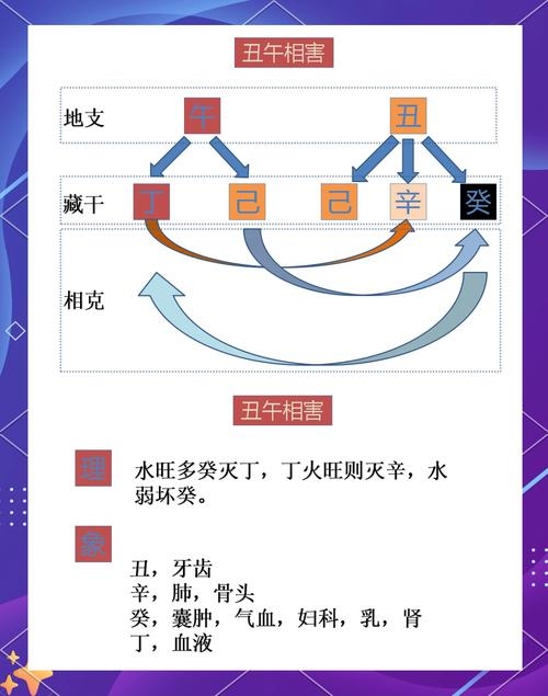 地支相害咋回事插图