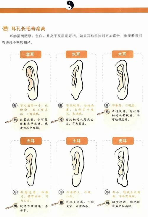 耳大福气,传统相学与现代健康的寓意解读插图 耳大福气,传统相学与现代健康的寓意解读插图