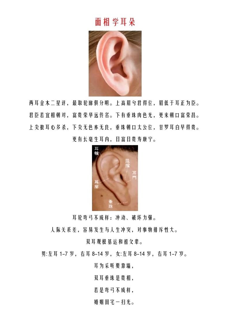 耳朵看相，解读你的内在特质与命运插图