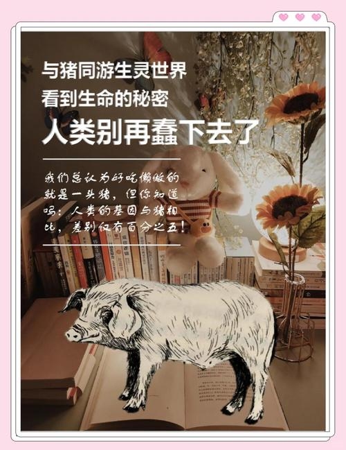 凡夫俗子话生肖——揭秘猪的平凡与智慧插图