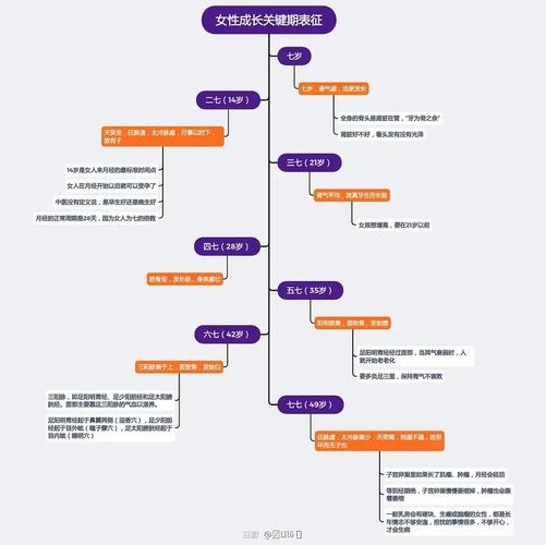 妇女节，时间轴上的温柔慰藉插图
