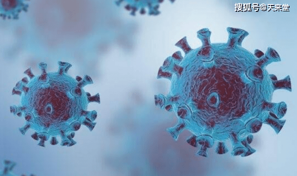 风水专家，解读自然与人的和谐之道插图