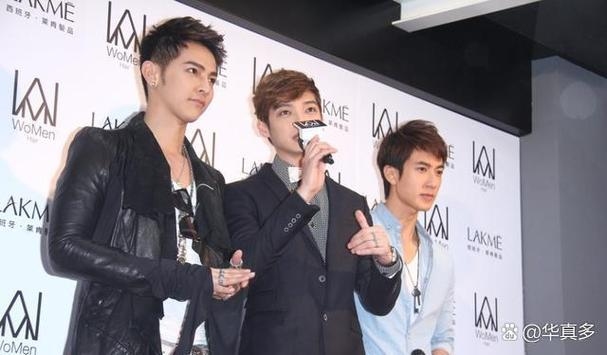 飞轮海成员名单出炉，吴尊、汪东城等活跃在港台地区。插图