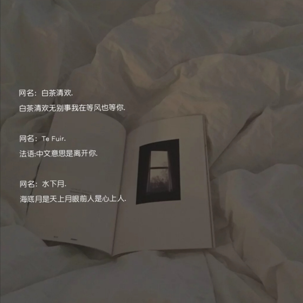 风骚网名，网络世界的个性标签插图