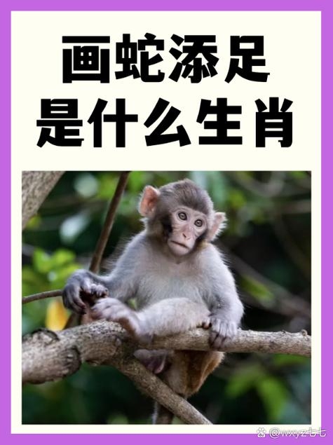 风韵犹存打一生肖答案蛇插图