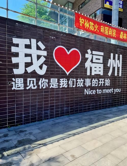 福州征婚，寻找城市中的爱情密码插图