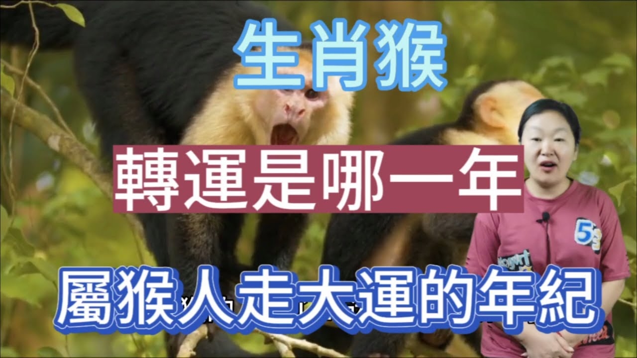 改朝换代，生肖猴的变革之舞插图