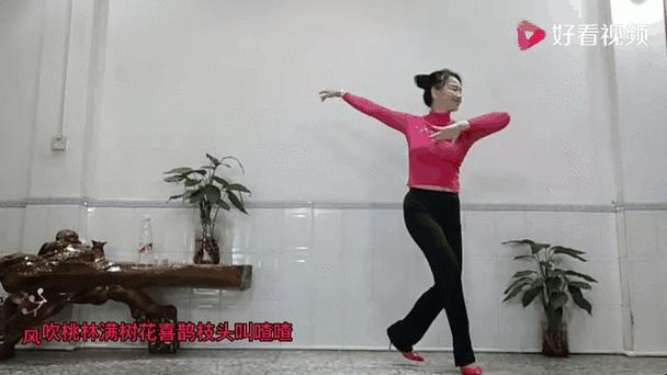 广场舞桃花运求解攻略插图