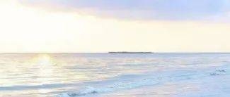 古典网名，穿越千年的诗意与韵味插图