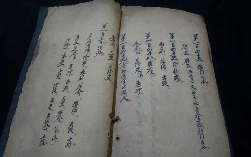 各地杨氏家谱字辈各异，传承家族文化插图