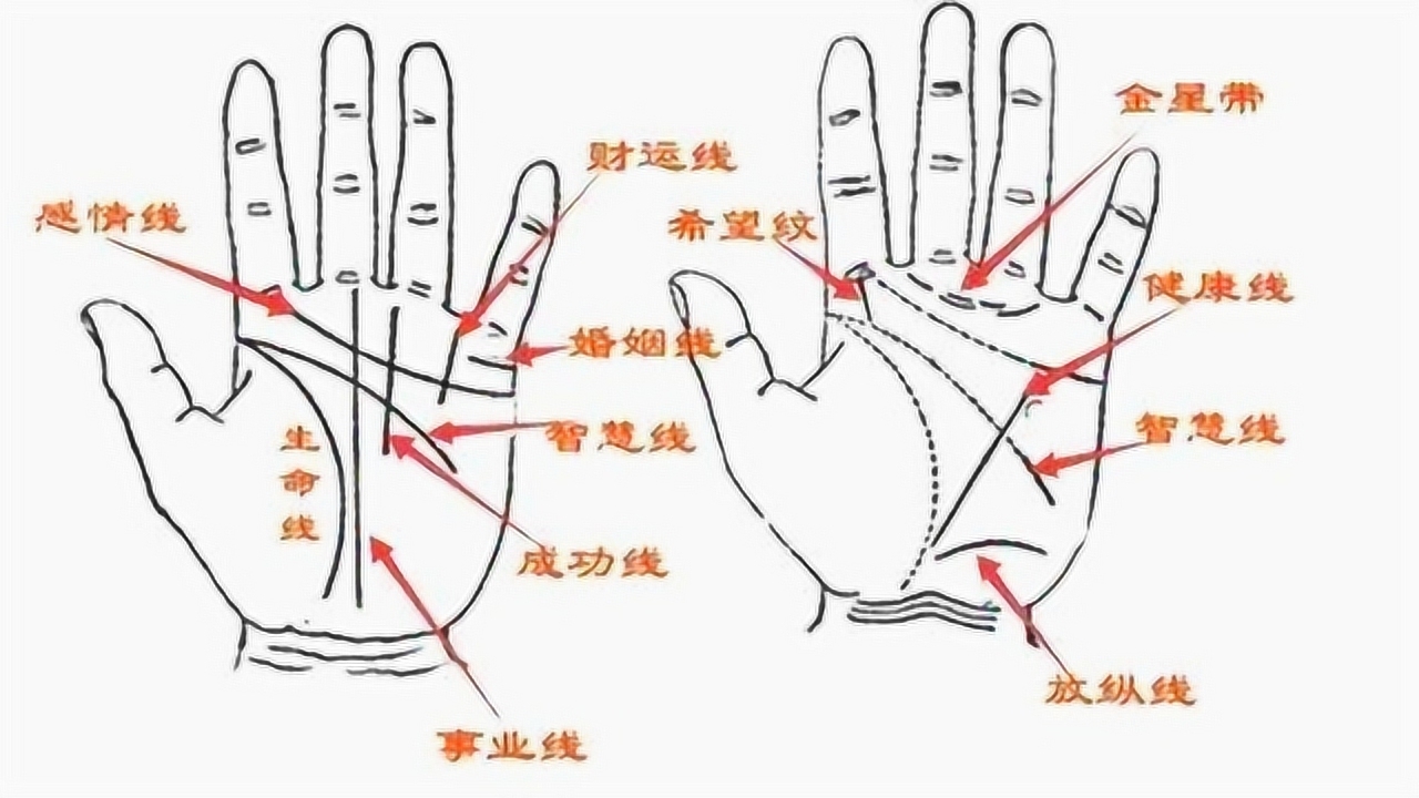 古代印度手相学,解读生命与健康细节插图 古代印度手相学,解读生命与健康细节插图